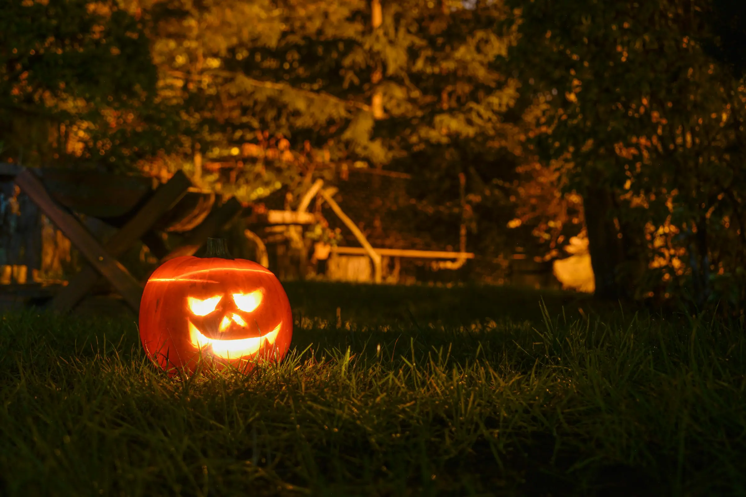 Utskuren pumpalykta med tända ljus på gräsmatta i skymning, Halloween atmosfär.
