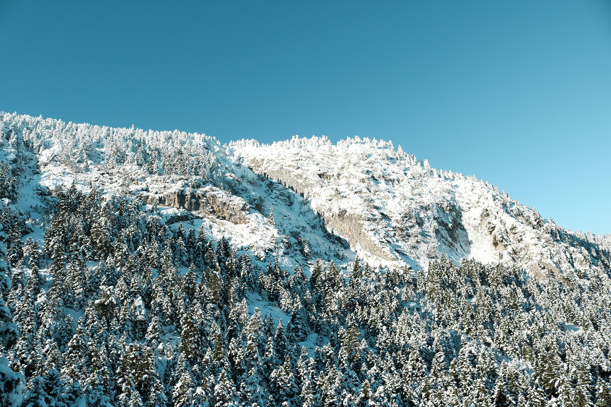 Snow-covered mountain with dense forest under clear blue sky.
