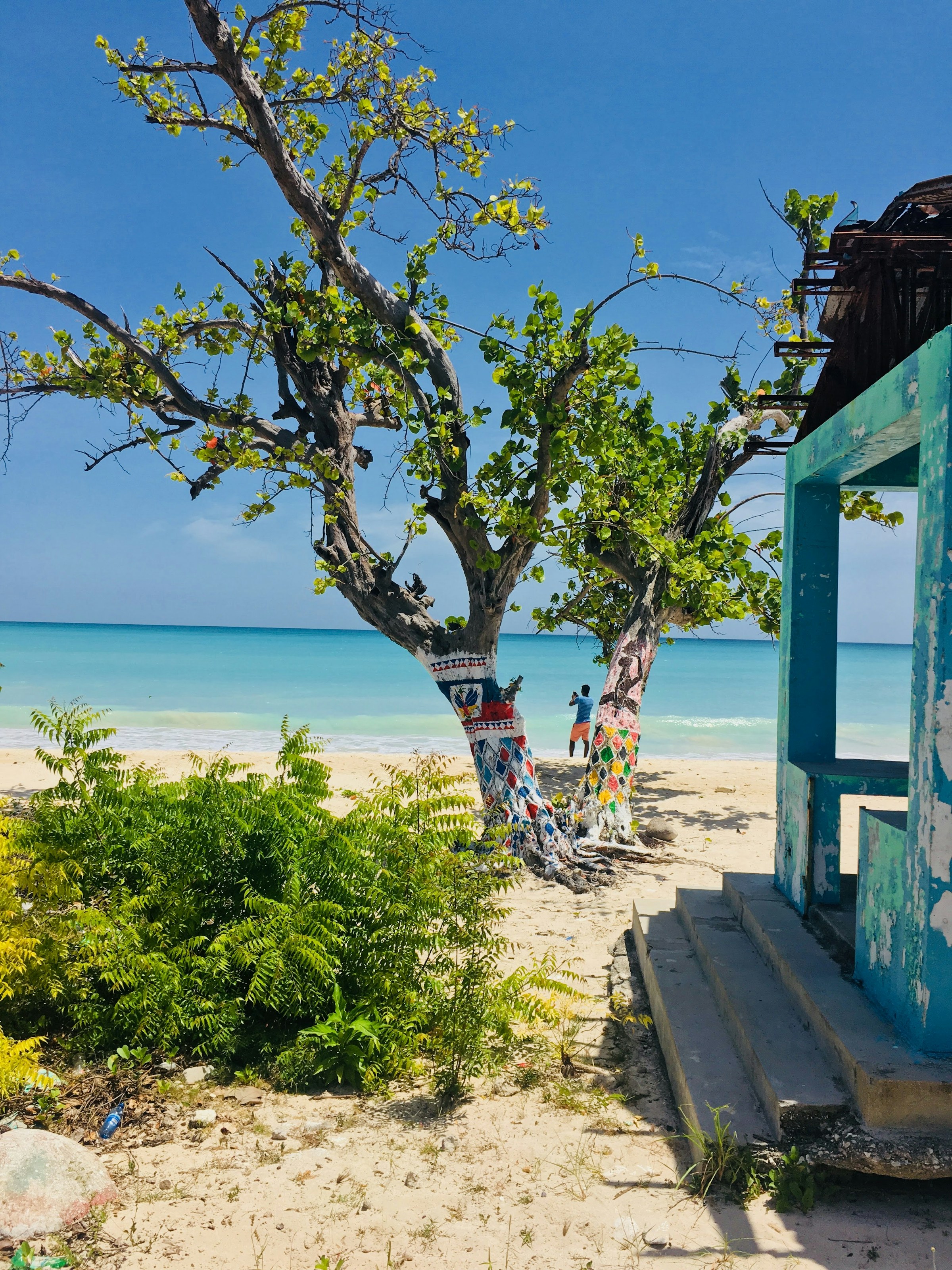 Tropical beach scene with a vibrant, painted tree, clear turquoise ocean, and blue sky. A person stands near the water.