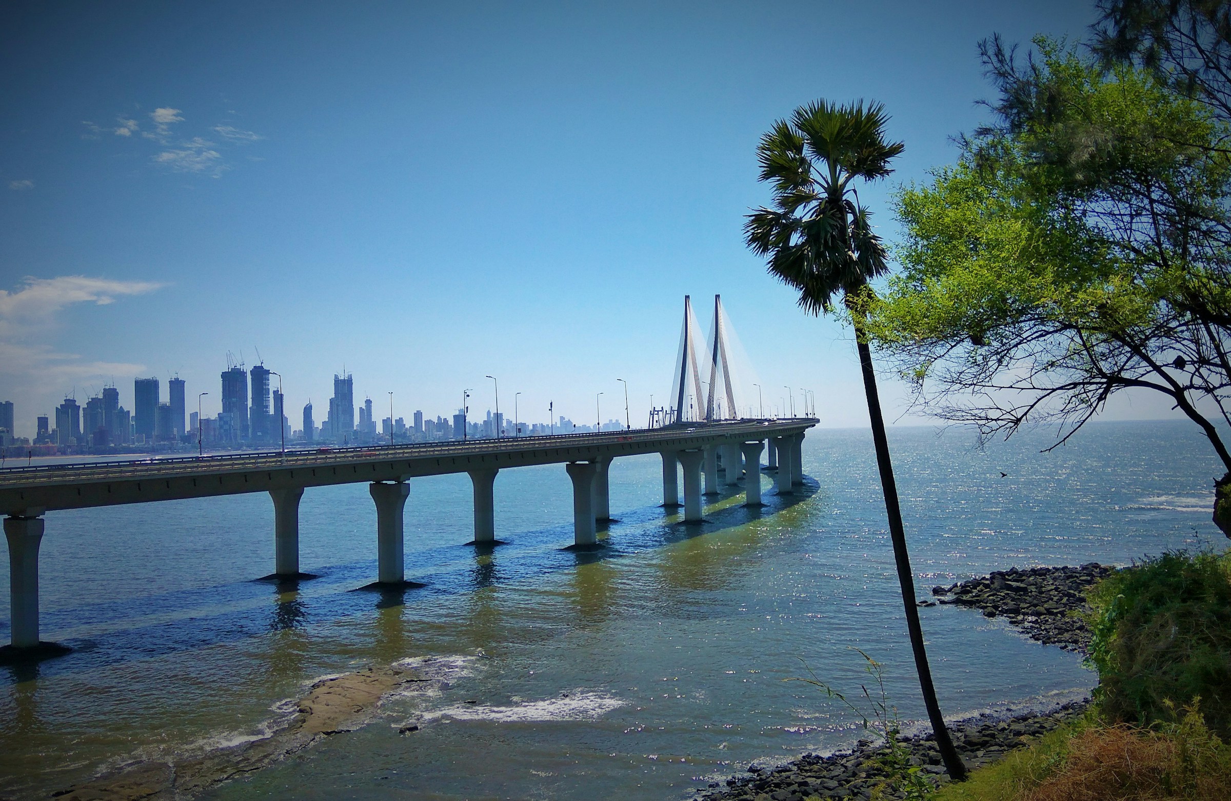 Bandra-Worli Sea Link, cable-stayed bridge over the Arabian Sea connecting Mumbai, with city skyline and palm trees in the foreground.
