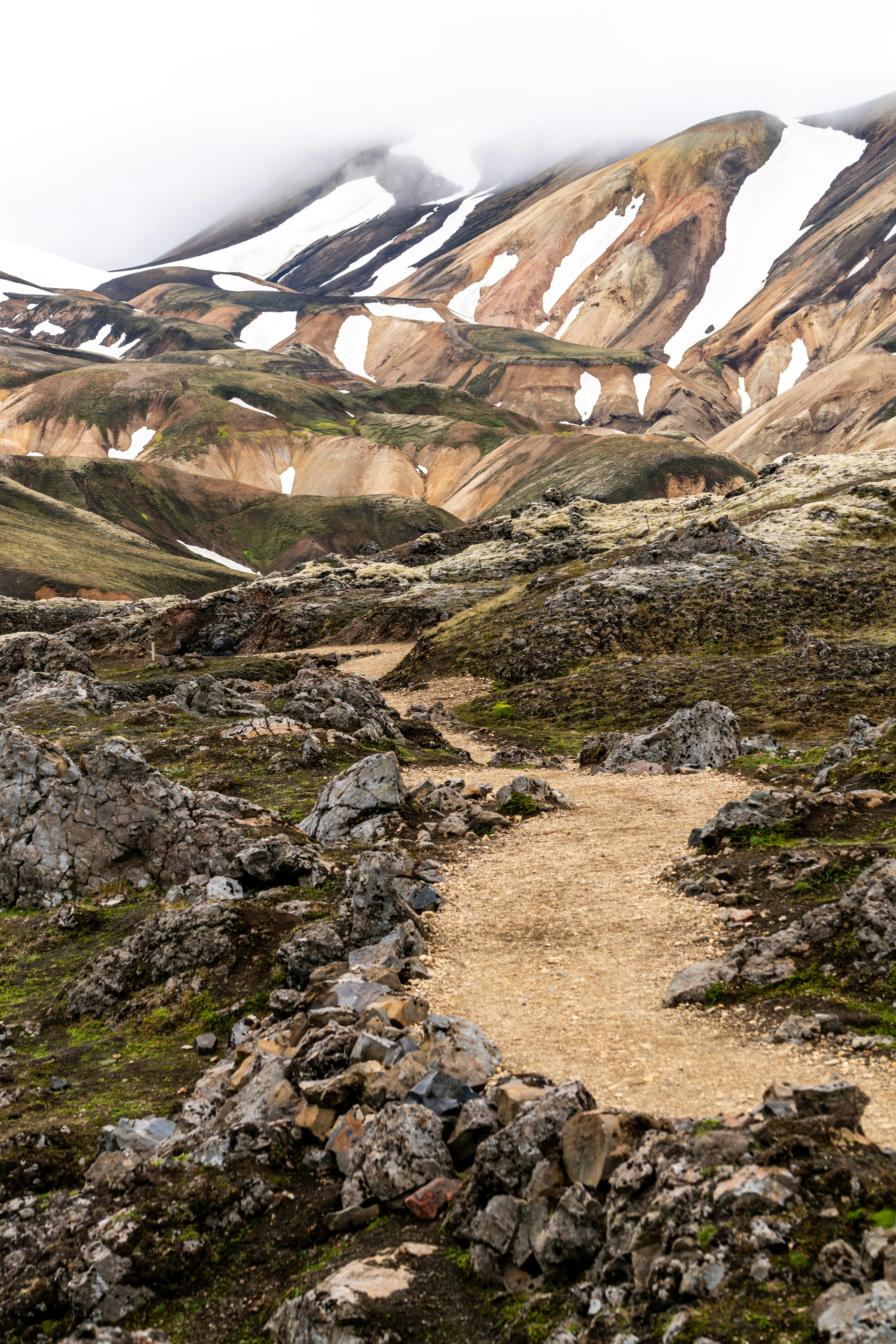 nature with a path that leads to snow-covered mountains and cliffs