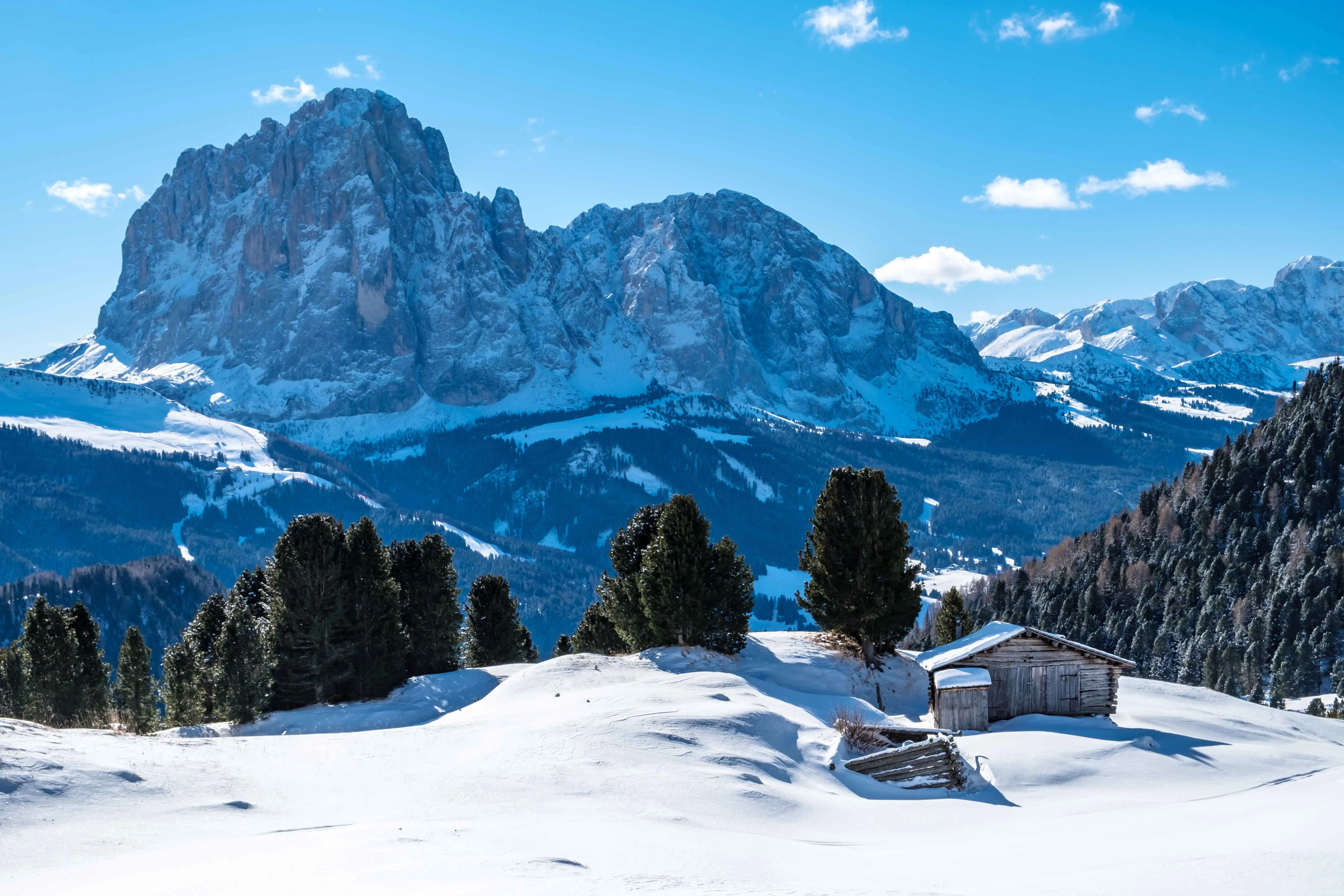 Resa till Champoluc - Snötäckt skog uppe på en höjd bland vackra klippor och berg i bakgrunden i Champoluc, Italien