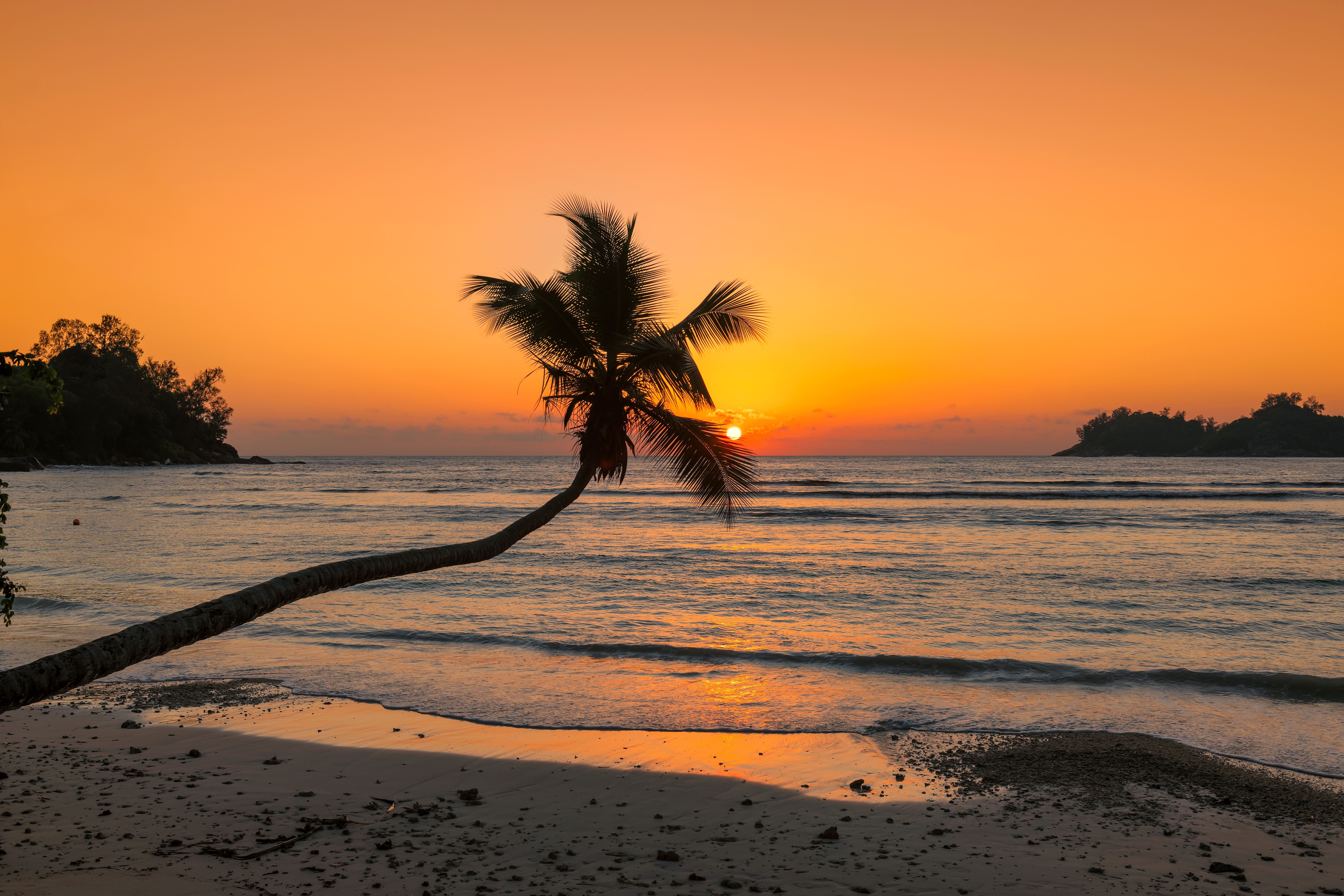 Travel to Jamaica - Sunset over tropical beach with palm tree and tranquil ocean.
