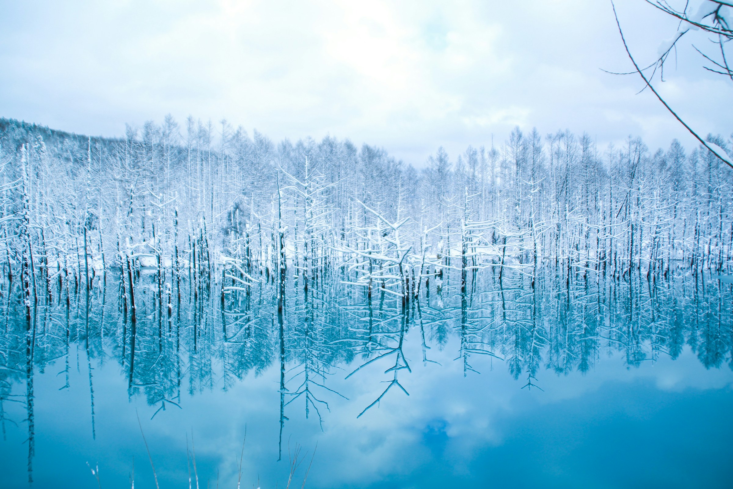 Snow-covered trees are reflected in a clear blue lake, under a cloudy sky in Hokkaido, Japan.