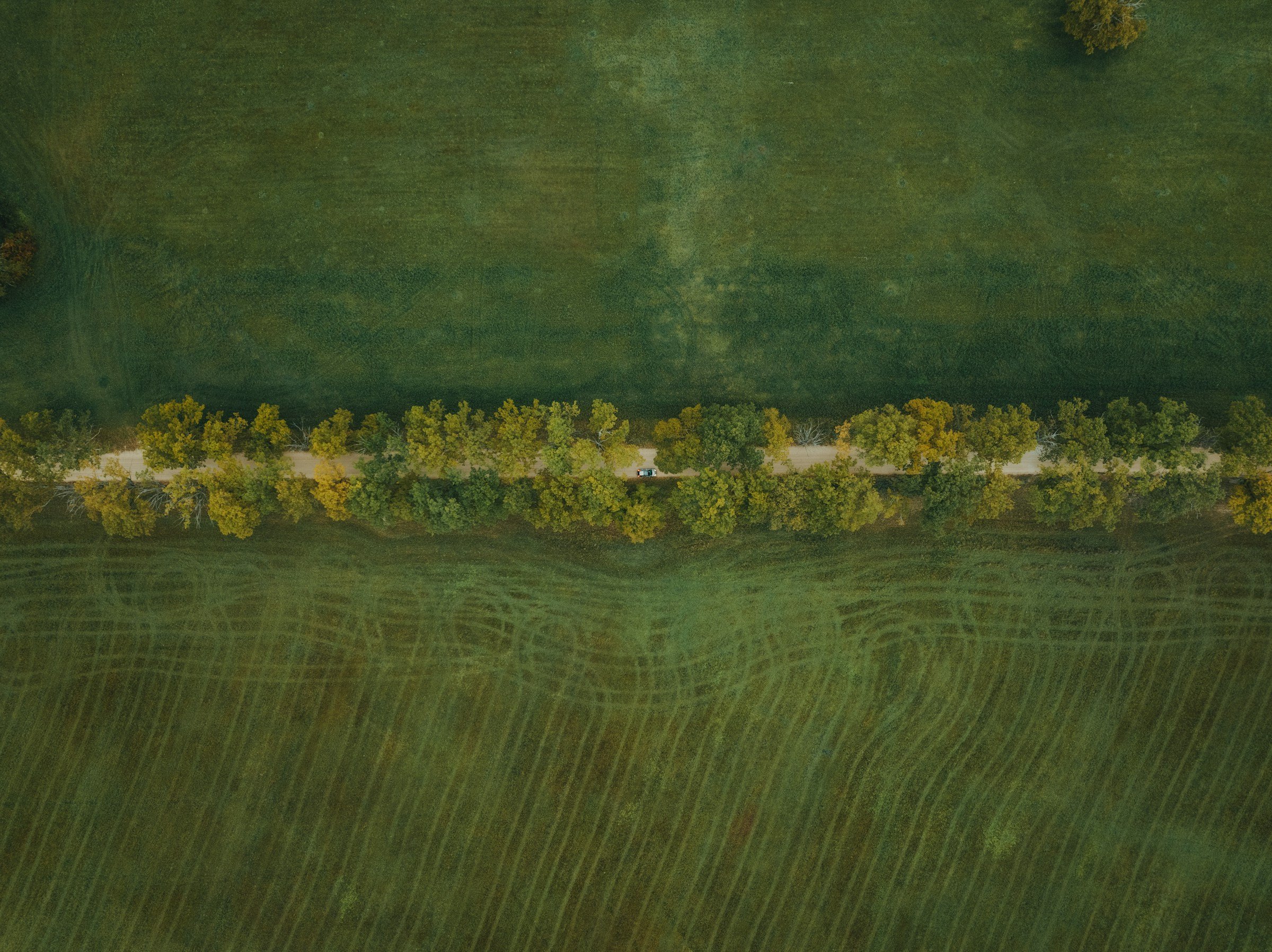 Vy ovanifrån på en mindre landsväg genom gröna fält i Lettland