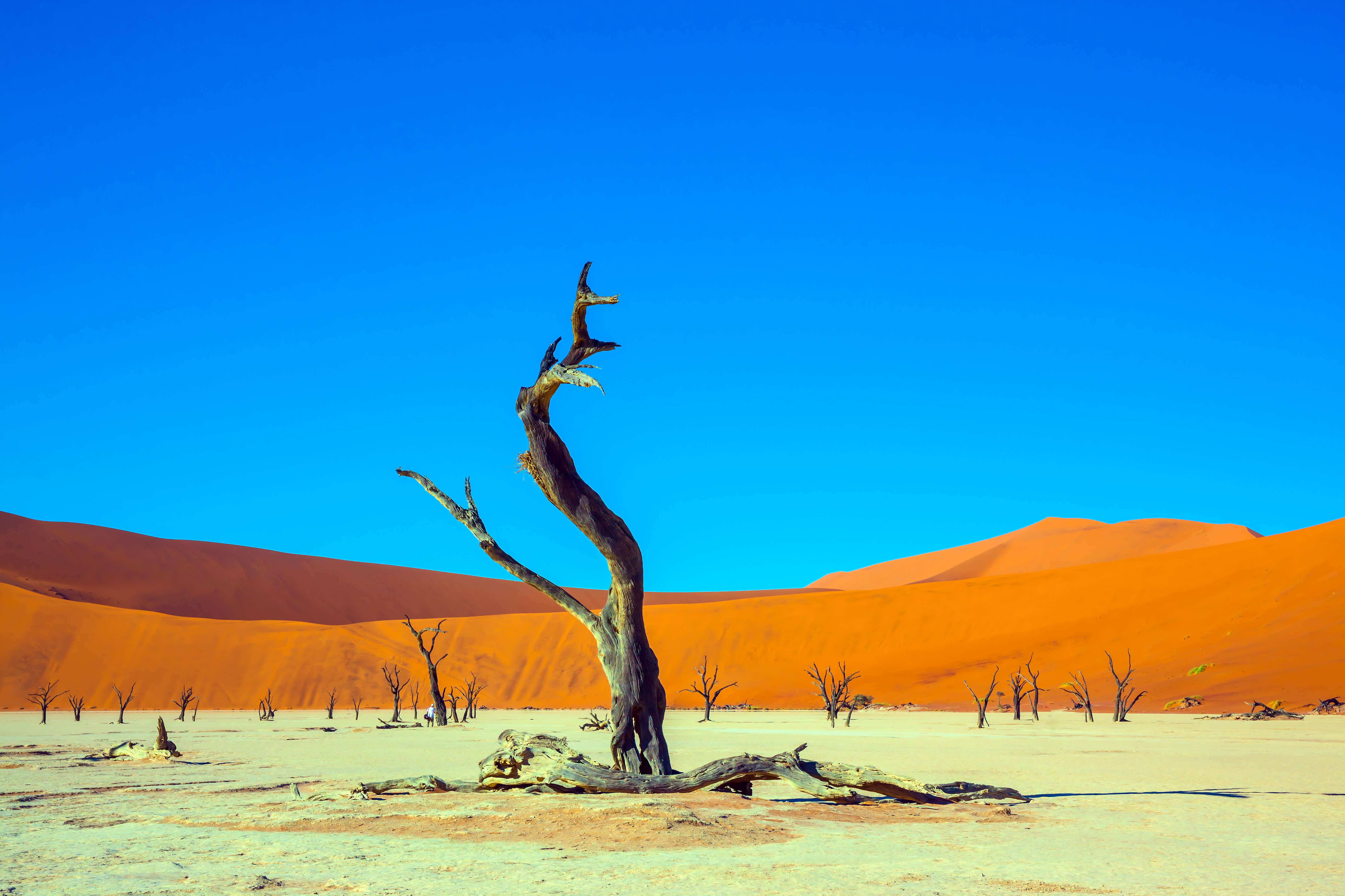 travel-to-namibia-everything-for-your-trip-forex