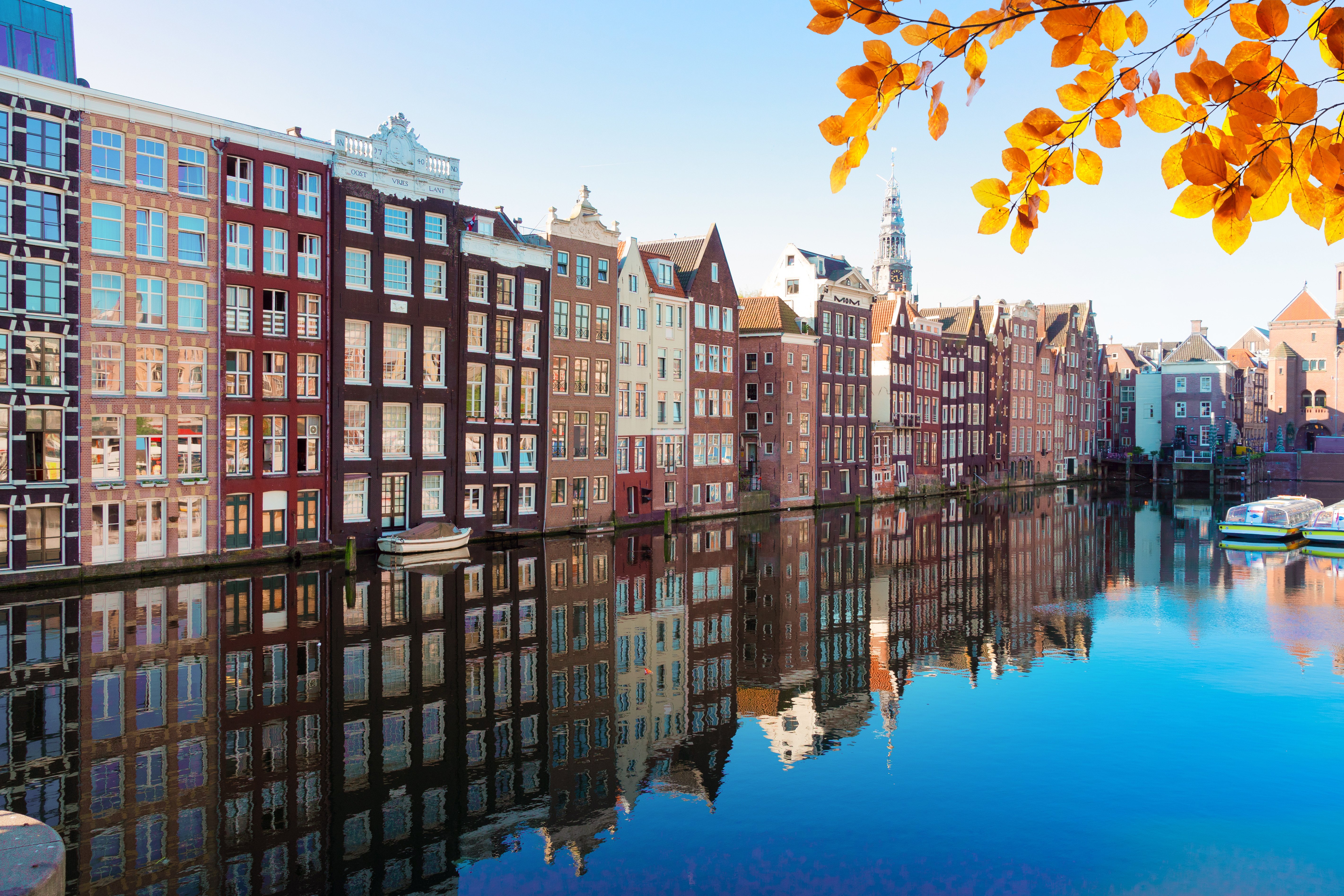 Resa till Amsterdam - Höstutsikt över färgglada hus längs en kanal med orange löv i förgrunden och klar blå himmel.