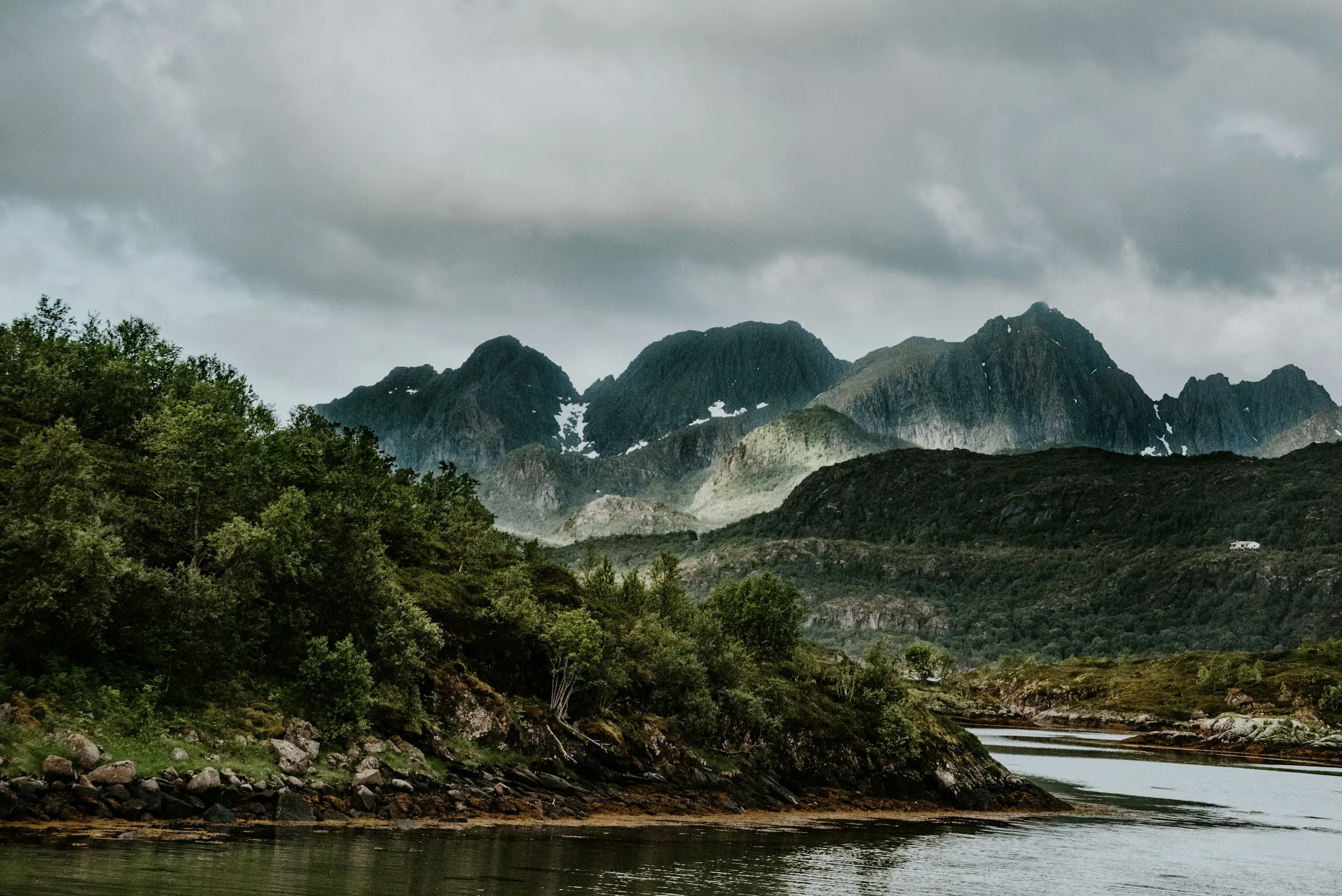 Vilmark och skog möter vatten i Lofoten med stora snötäckta berg i bakgrunden