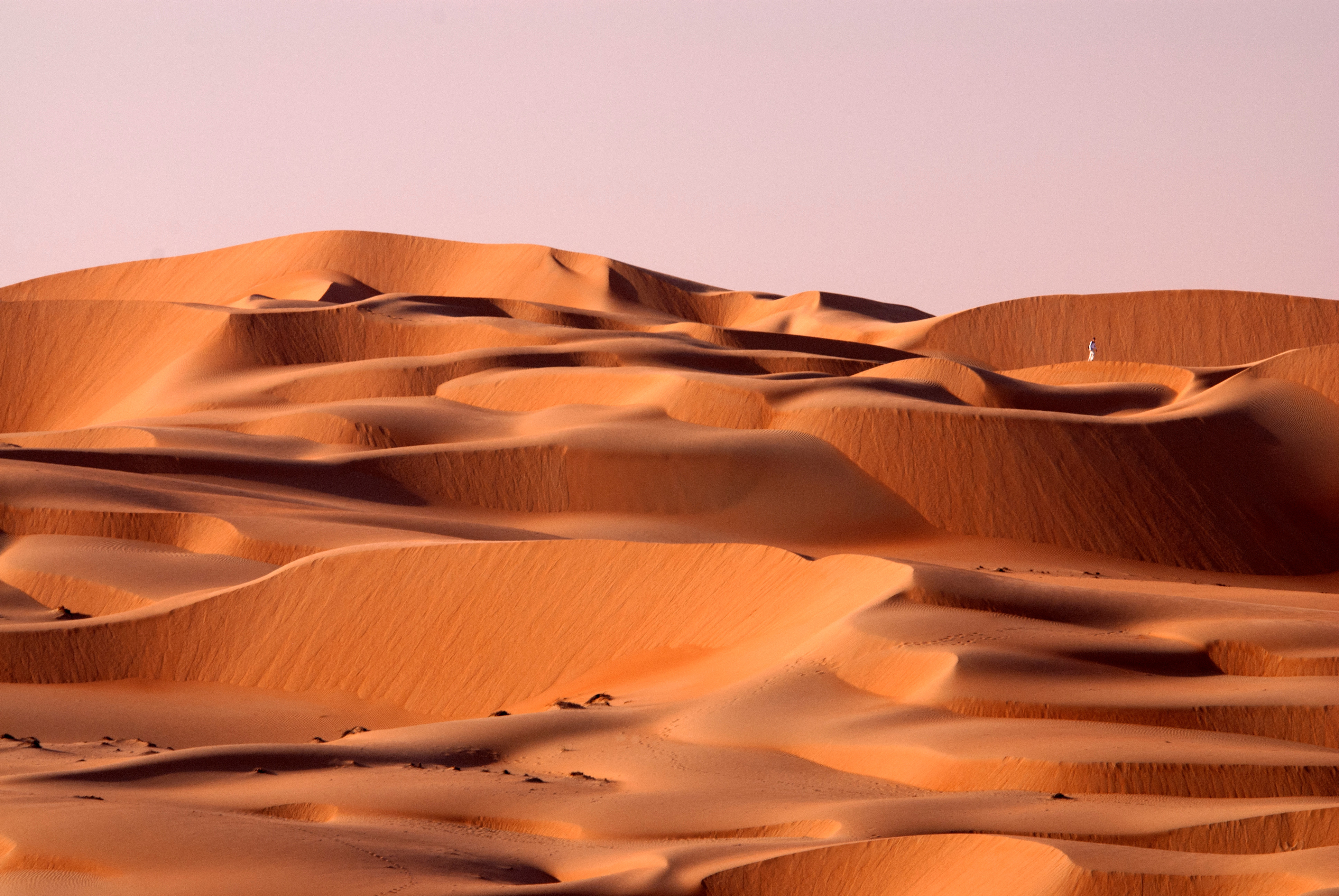 Vast desert landscape with sweeping sand dunes under a clear sky