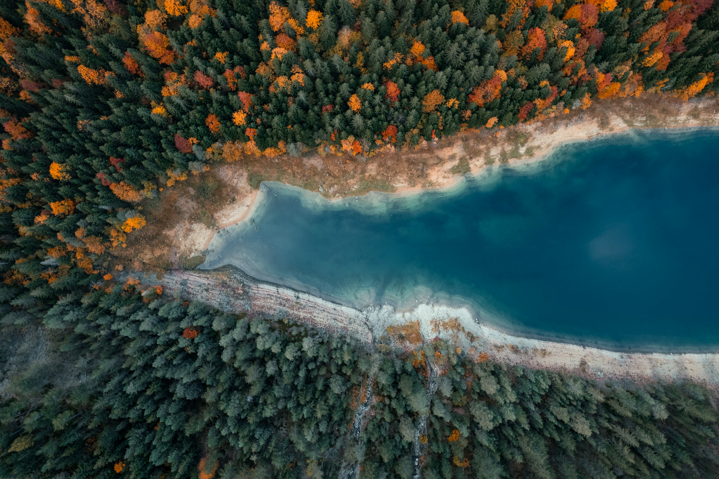 Vy ovanifrån på en sjö som kommer in i en vacker skog under hösten - nationalpark i Serbien
