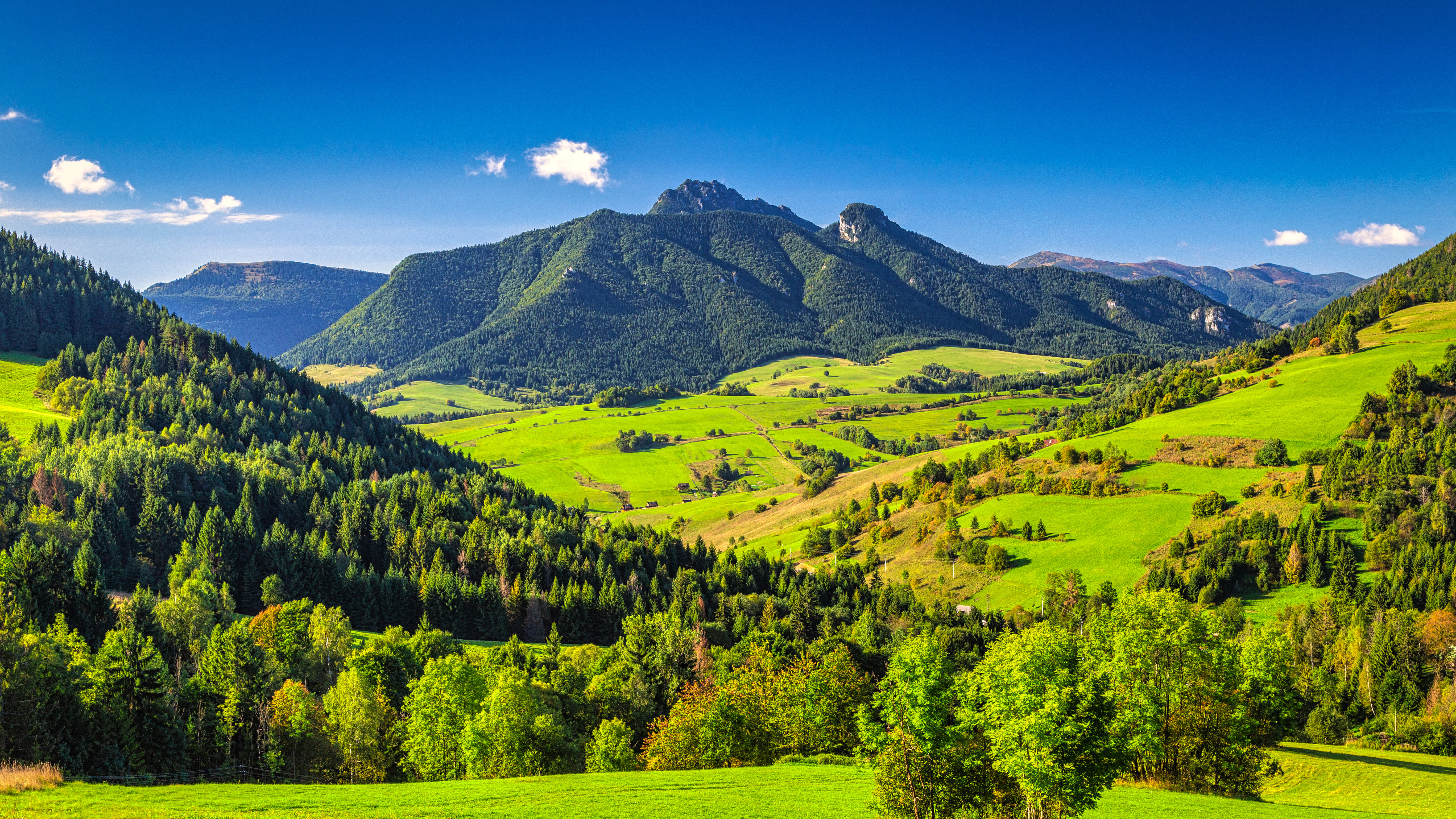 Scenic view of a lush green valley with rolling hills, dense forests, and distant mountains under a clear blue sky
