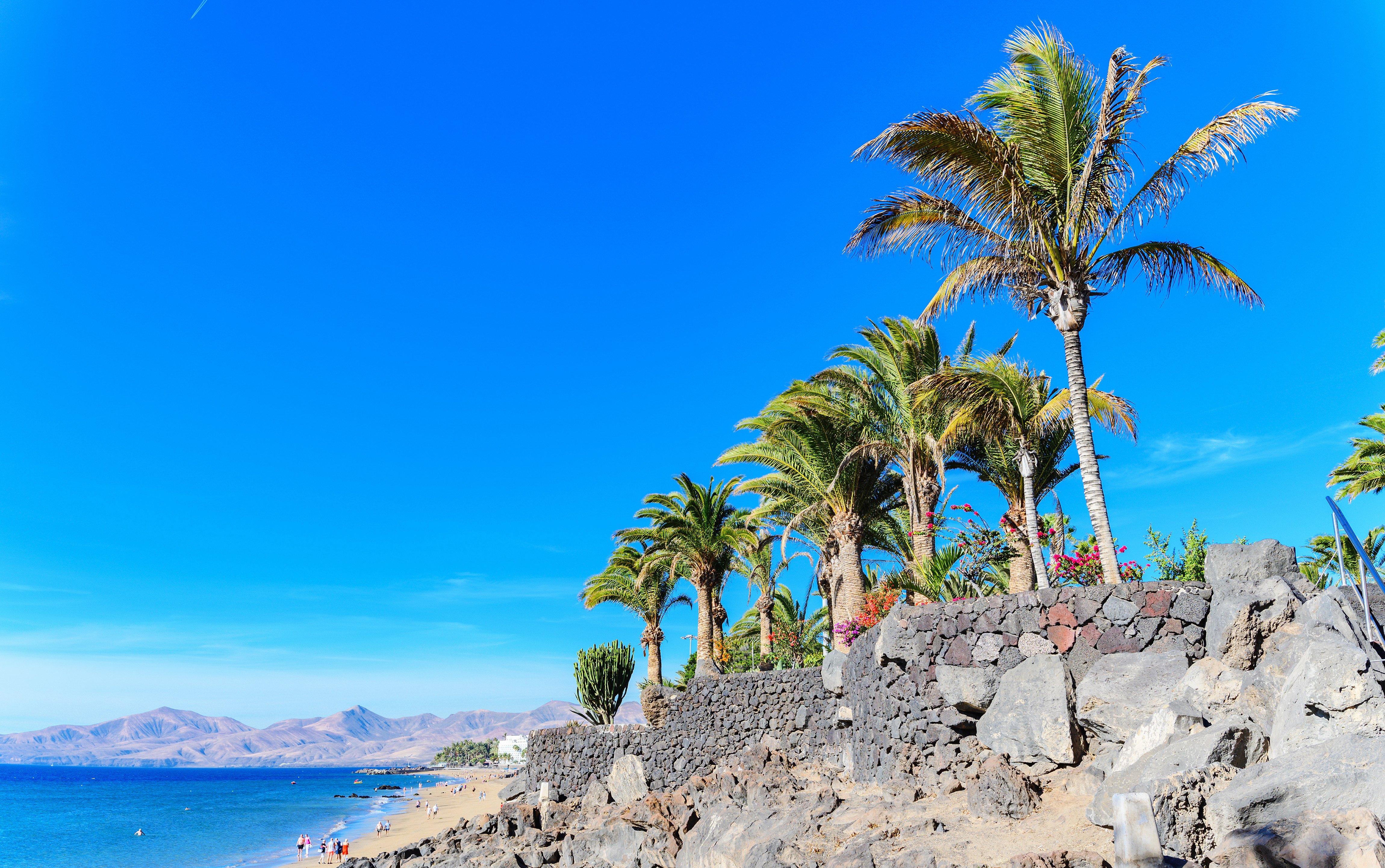  Travel to Lanzarote - Sunny beach with palm trees and rocky shoreline against a clear blue sky.