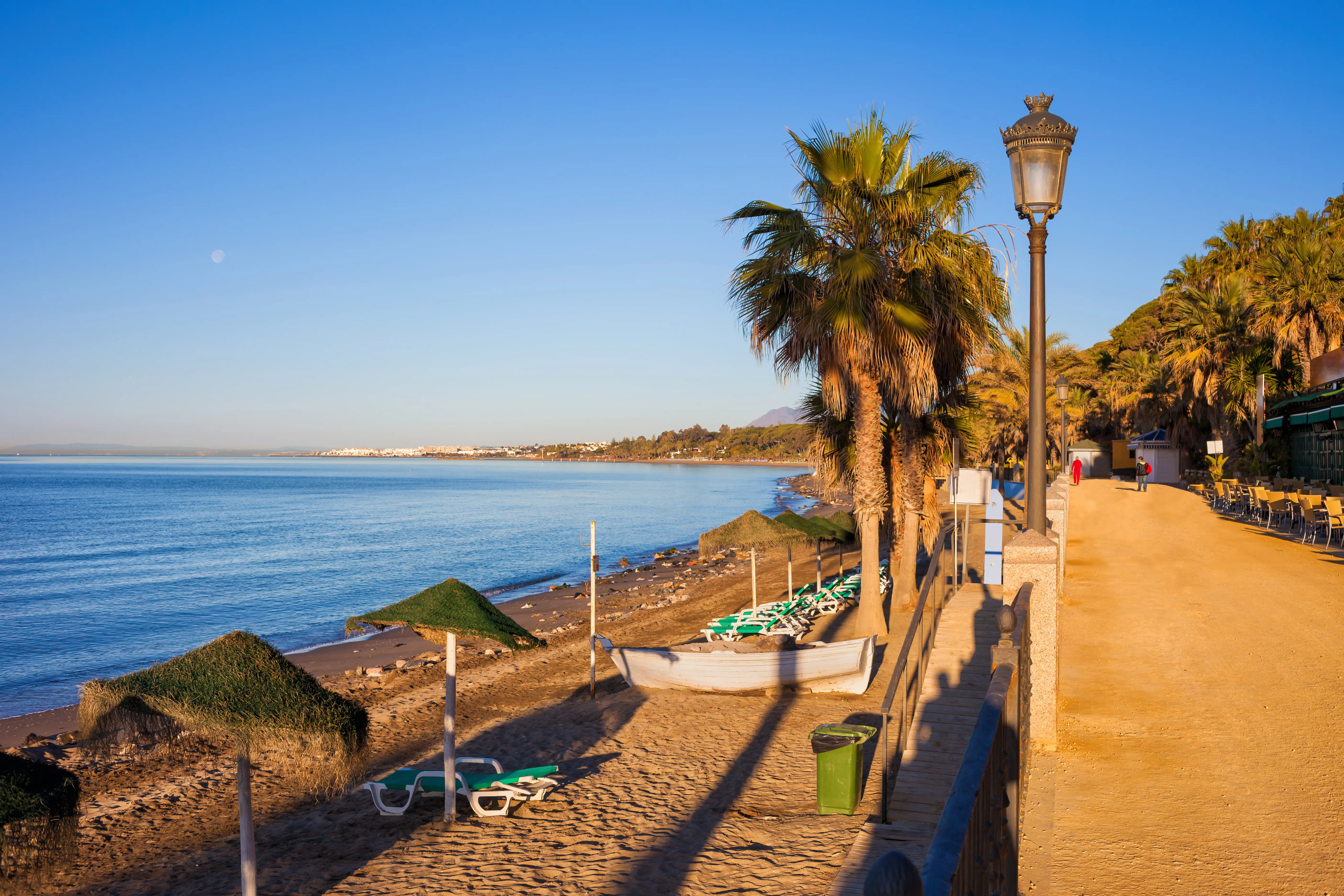 Beachfront promenade with palm trees and lounge chairs by the ocean under a clear blue sky, creating a serene and inviting coastal scene