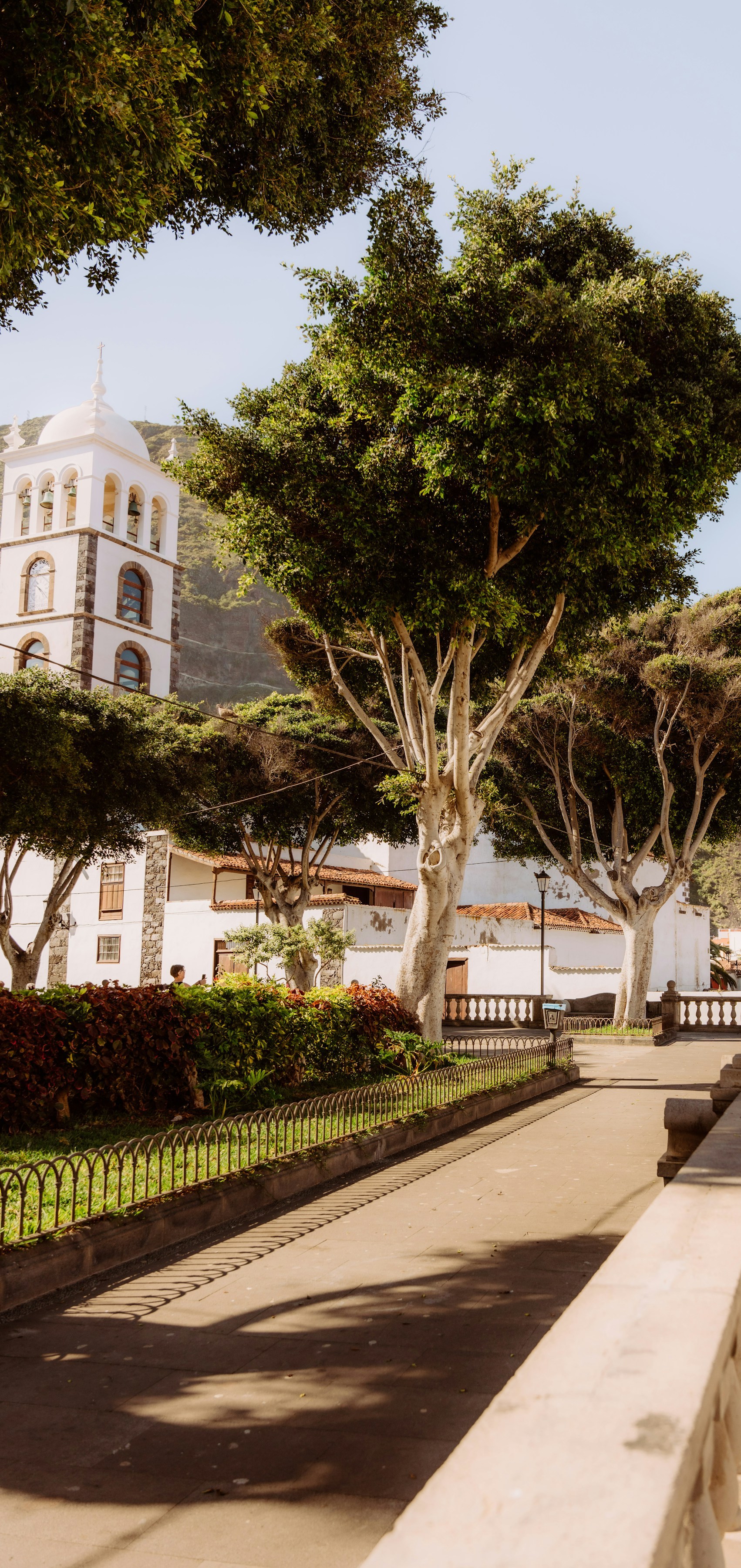 träd och klassiska spanska hus efter en resa till spanien