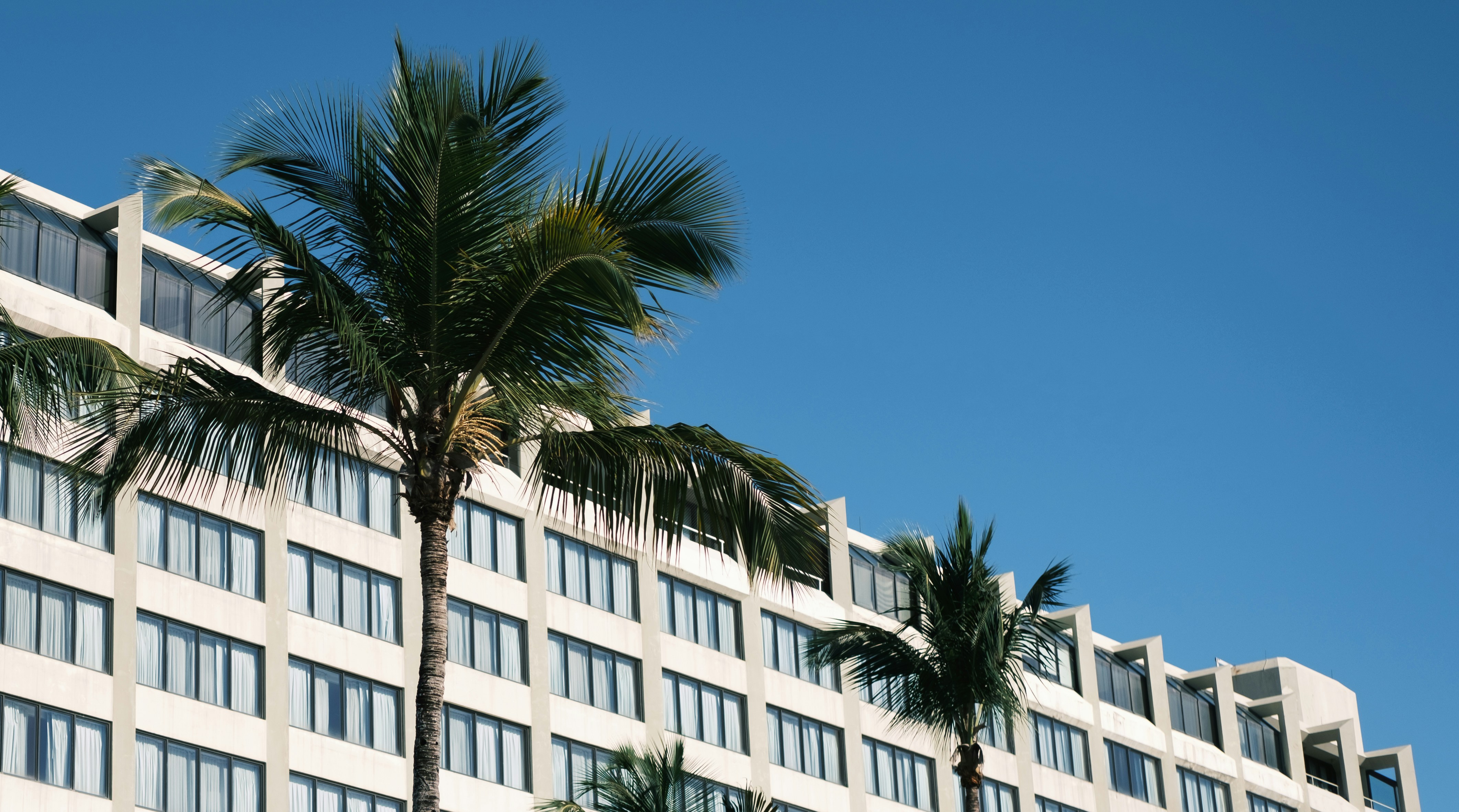 Modern beachfront hotel with palm trees under a clear blue sky