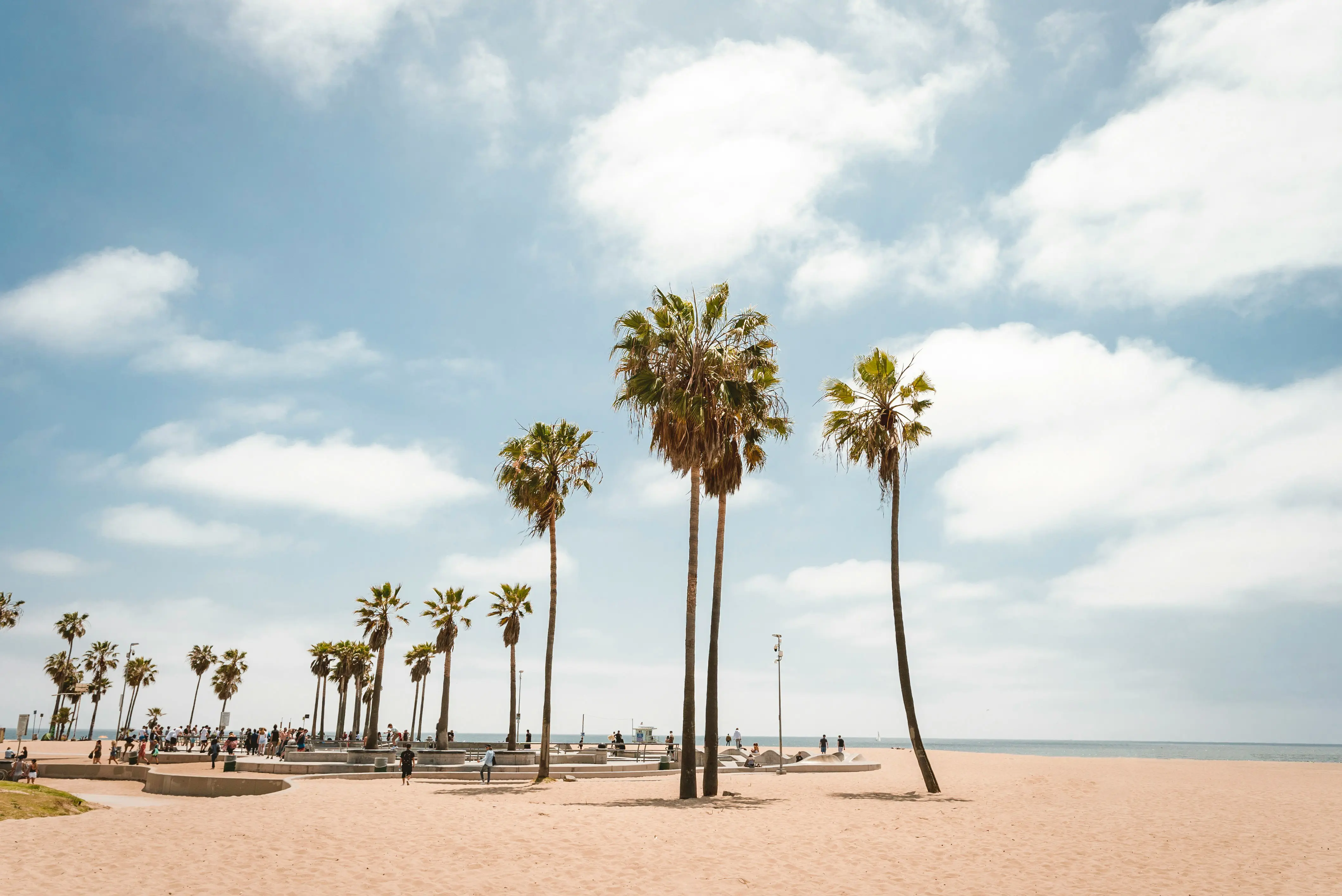 Sunny beach landscape with tall palm trees and a blue sky, Venice Beach, California
